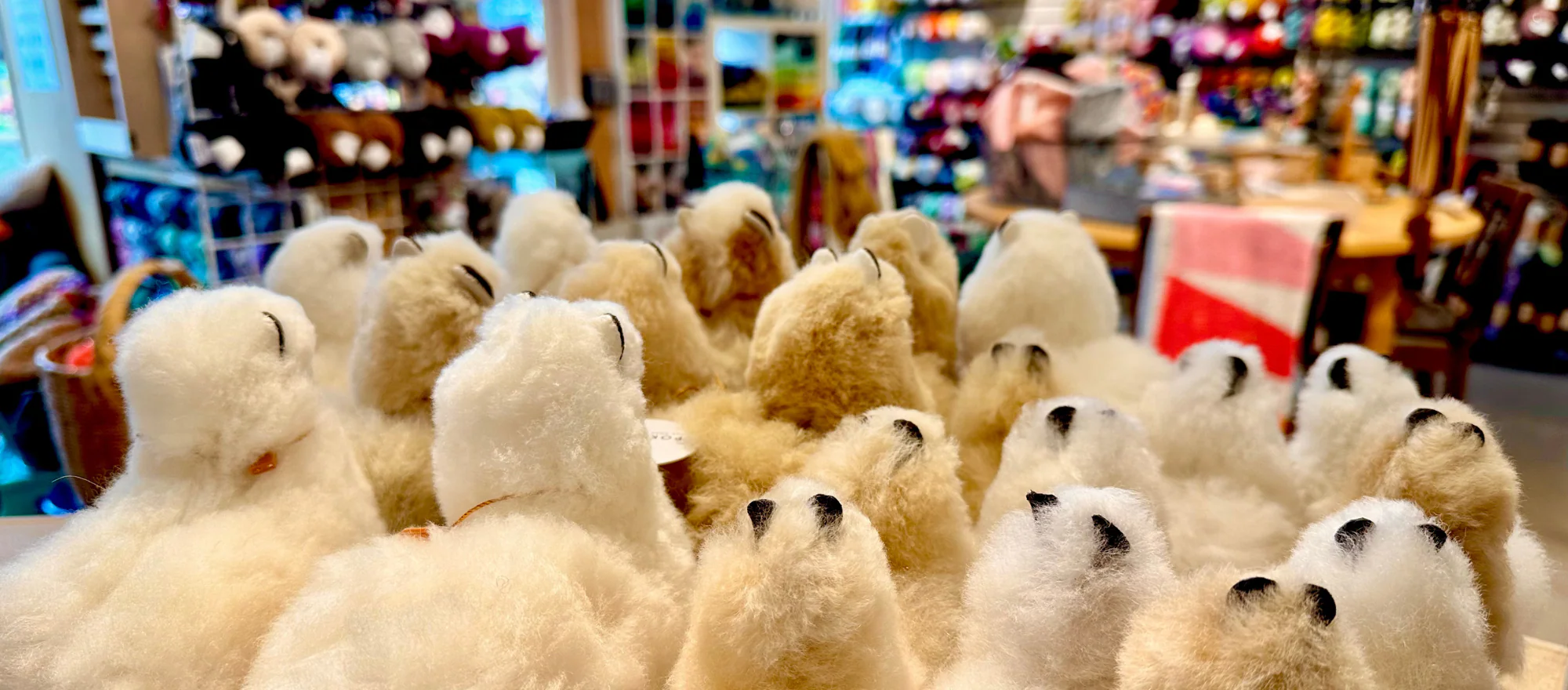 Welcome to Our Store